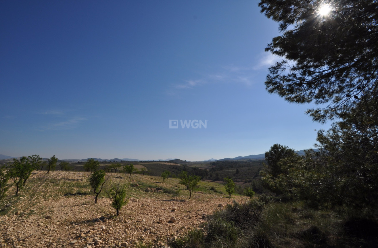 Resale - Land - La Zarza - Inland