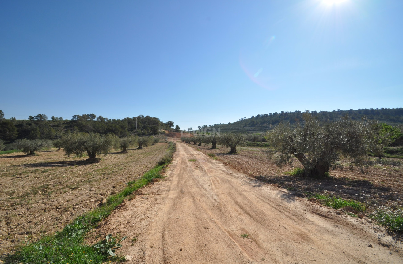 Resale - Land - La Zarza - Inland