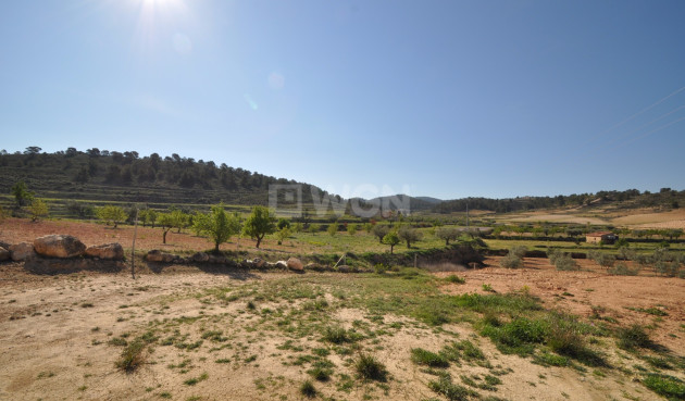 Resale - Land - La Zarza - Inland