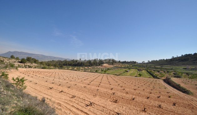 Resale - Land - La Zarza - Inland