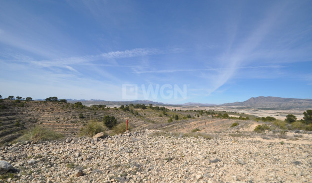 Resale - Land - La Zarza - Inland