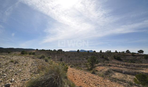 Reventa - Land - La Zarza - Inland