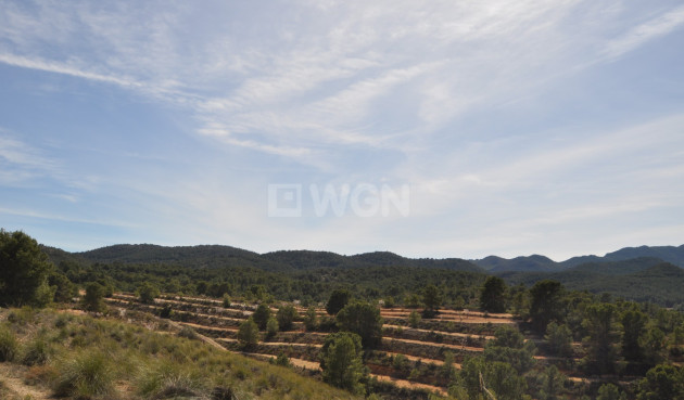 Reventa - Land - La Zarza - Inland