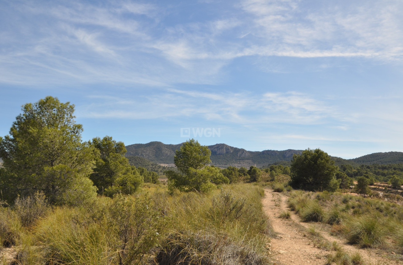 Reventa - Land - La Zarza - Inland