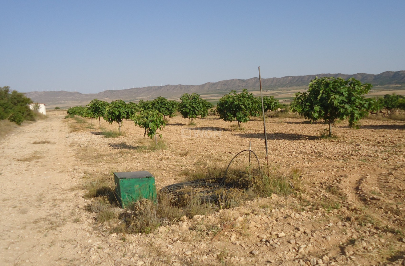 Reventa - Land - Yecla - Inland