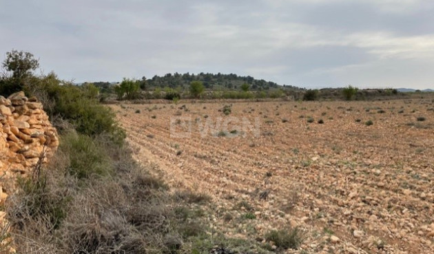 Reventa - Land - Yecla - Inland