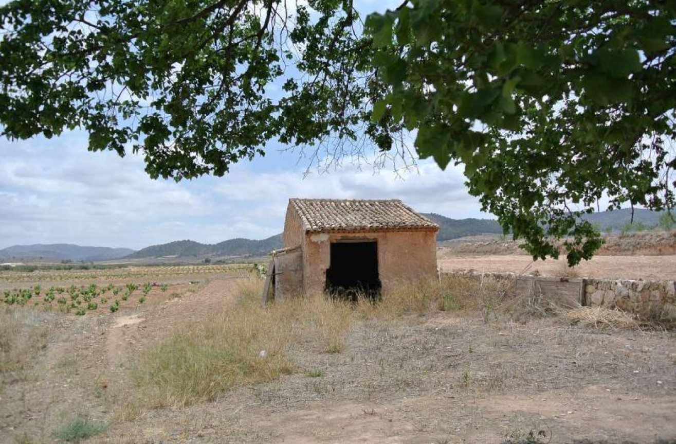 Odsprzedaż - Country House - Algueña - Inland