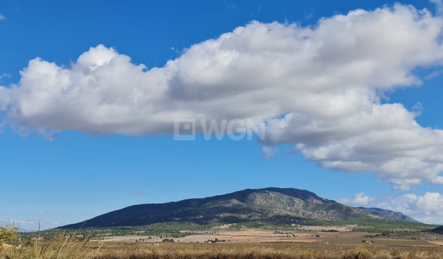 Reventa - Land - Yecla - Inland