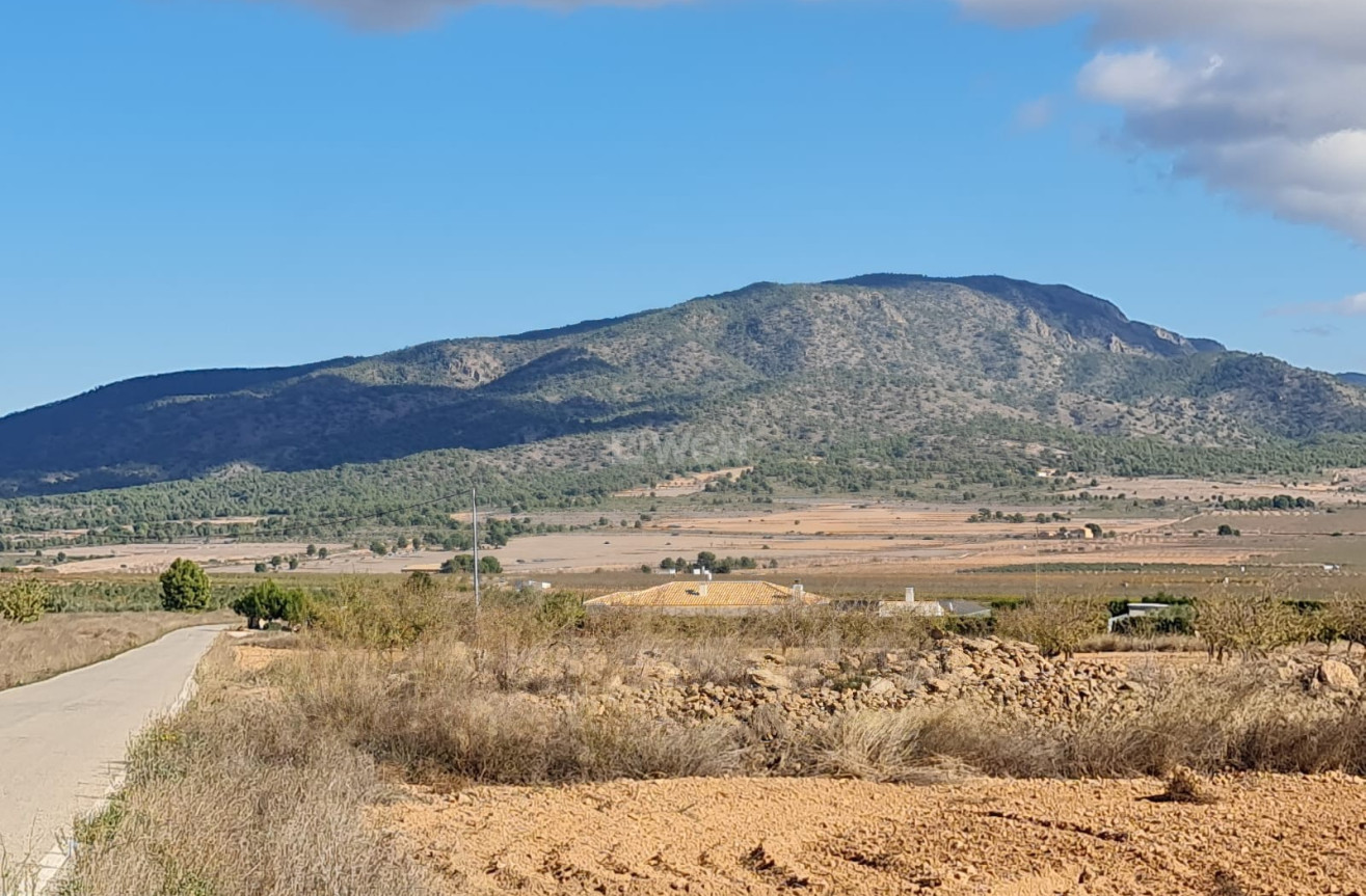 Reventa - Land - Yecla - Inland