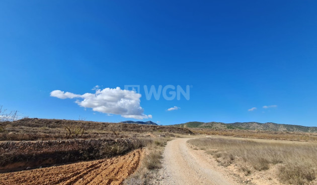 Reventa - Land - Yecla - Inland