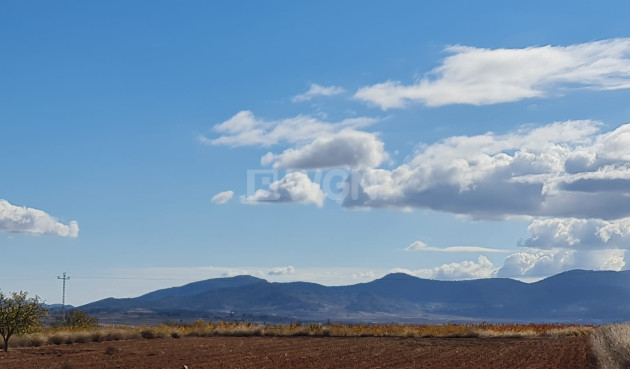 Reventa - Land - Yecla - Inland