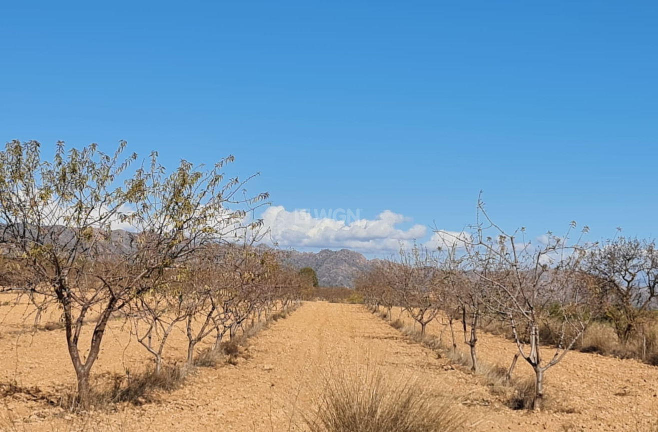 Reventa - Land - Yecla - Inland