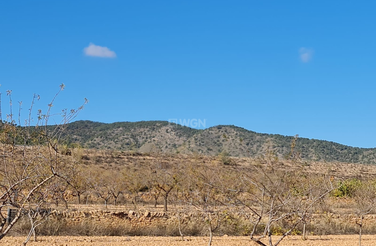 Reventa - Land - Yecla - Inland