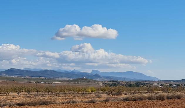 Reventa - Land - Yecla - Inland