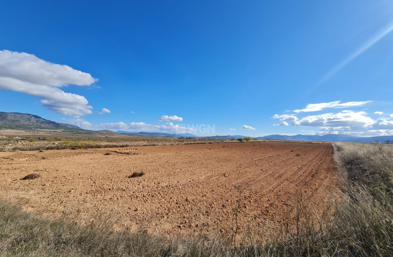 Odsprzedaż - Land - Yecla - Inland