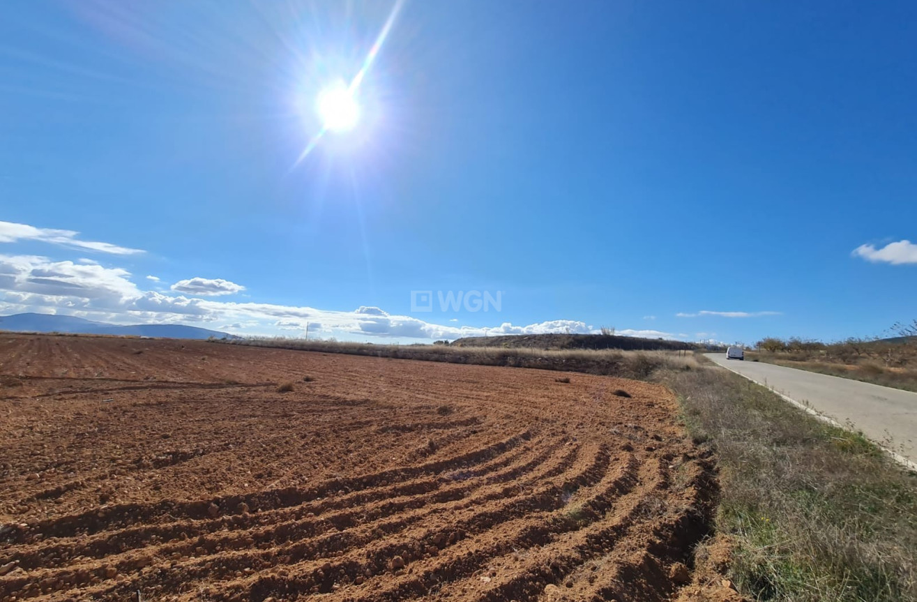 Reventa - Land - Yecla - Inland