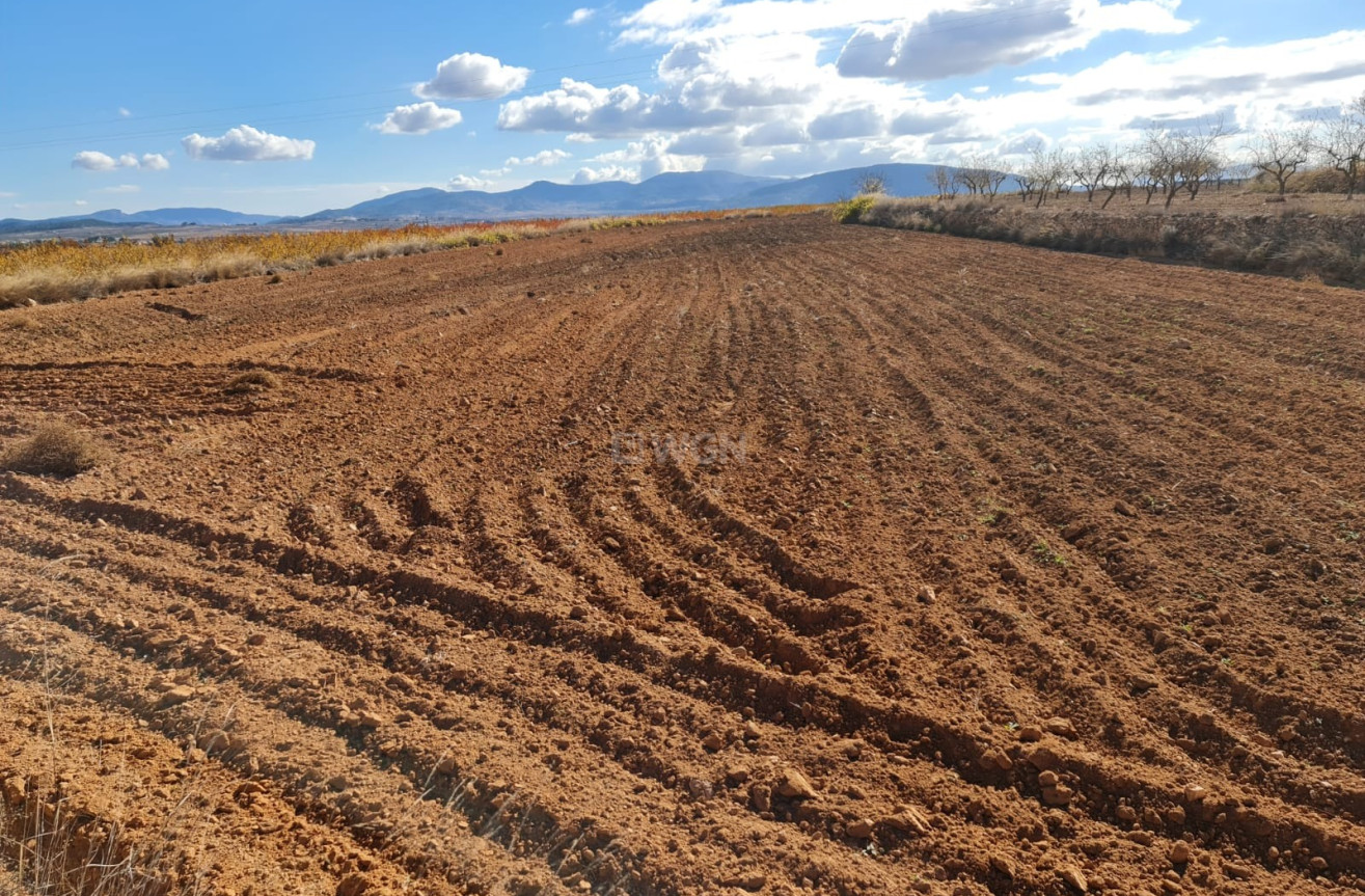 Reventa - Land - Yecla - Inland