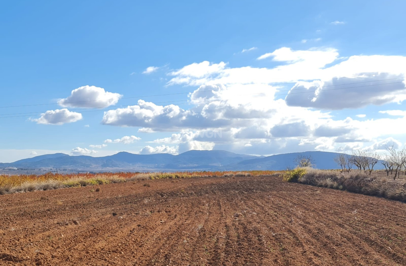 Reventa - Land - Yecla - Inland