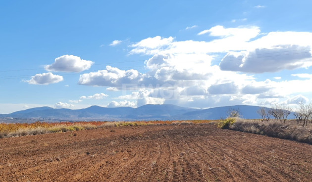 Reventa - Land - Yecla - Inland