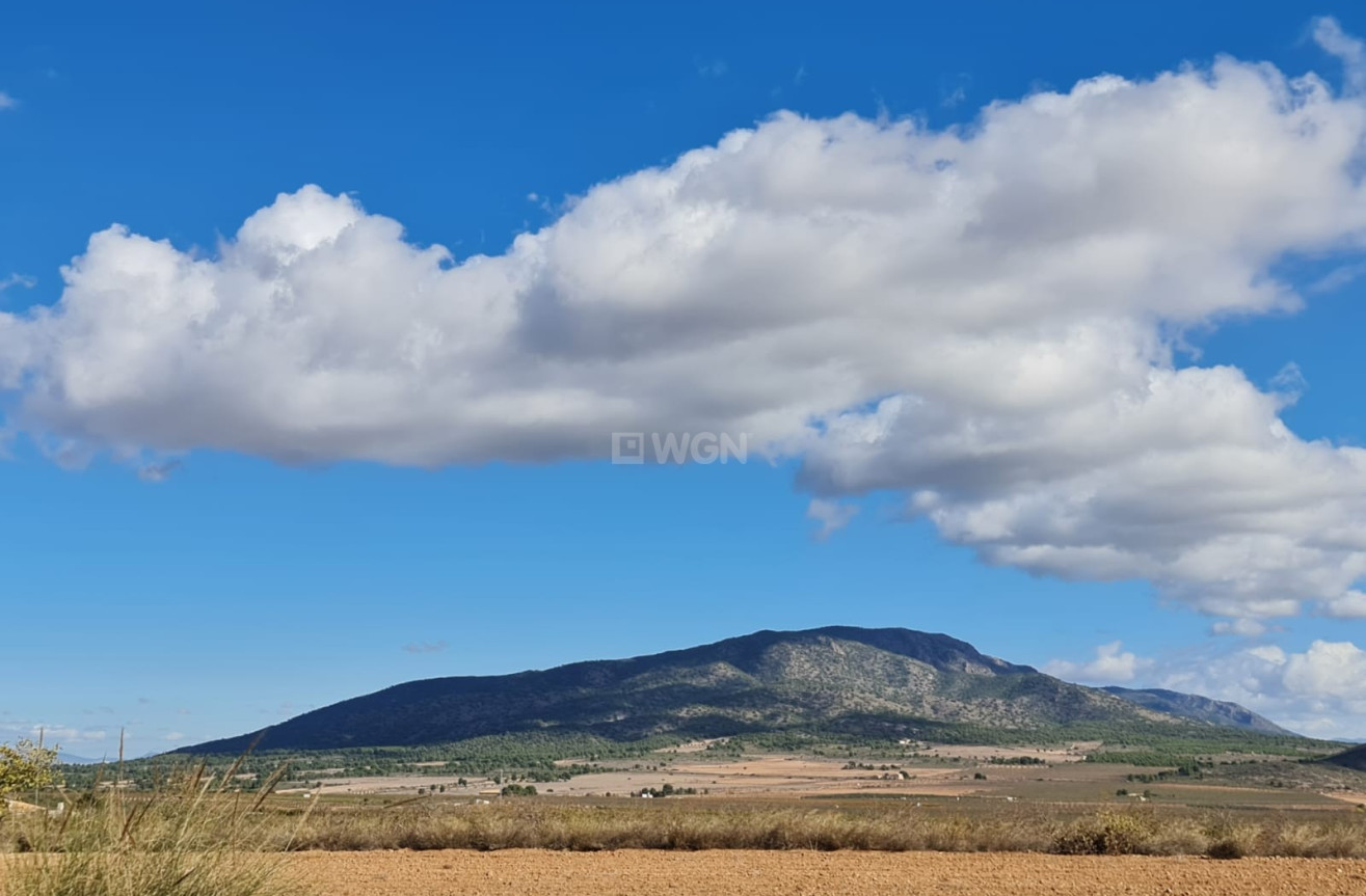 Reventa - Land - Yecla - Inland