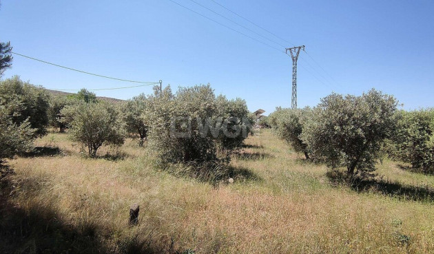 Resale - Country House - Yecla - Inland