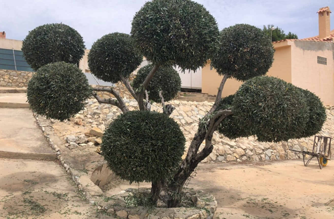 Odsprzedaż - Reklama w telewizji - Alicante - Costa Blanca