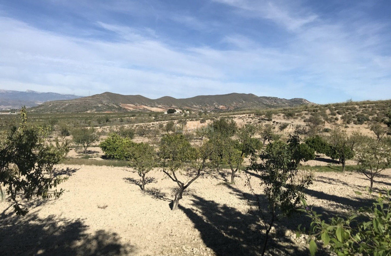 Resale - Finca - Lorca - Costa Calida