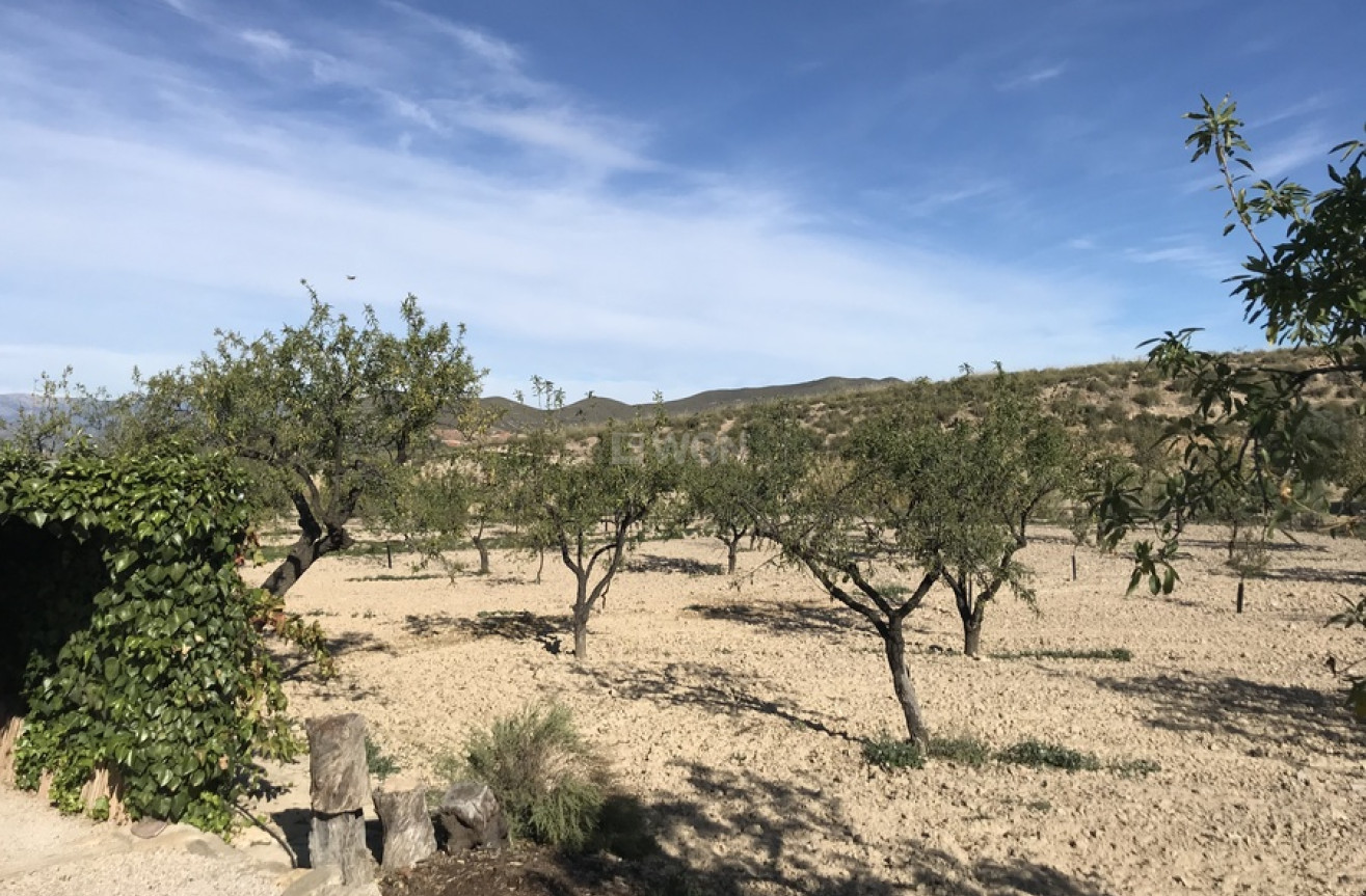 Odsprzedaż - Finca - Lorca - Costa Calida