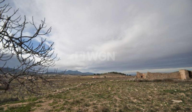 Resale - Other - Torre Del Rico - Inland