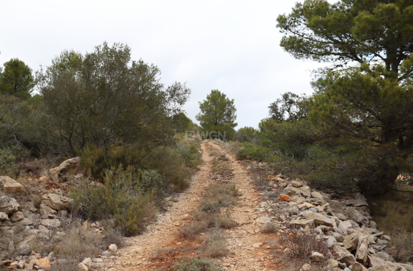 Reventa - Land - Jalón - Inland