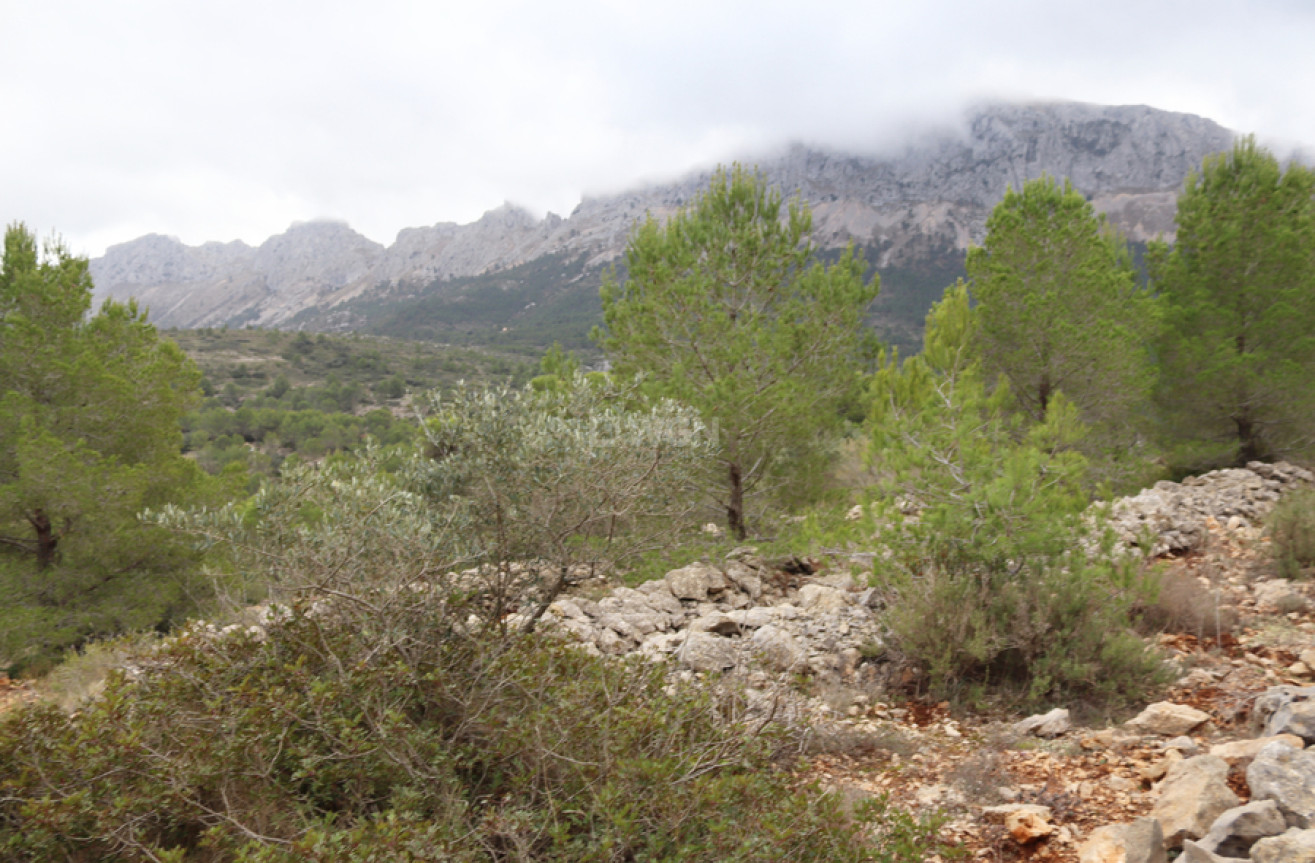 Reventa - Land - Jalón - Inland