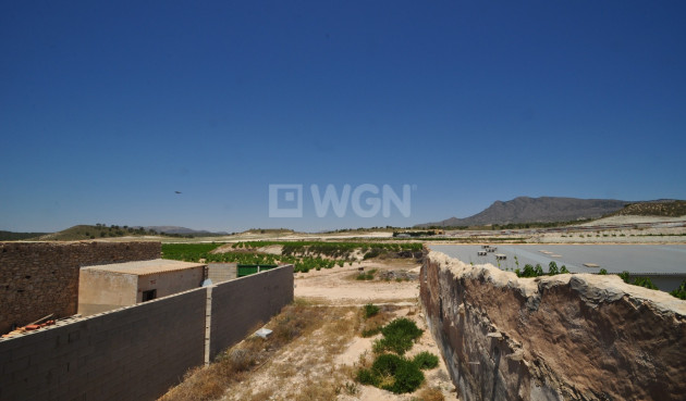 Resale - Other - Jumilla - Inland