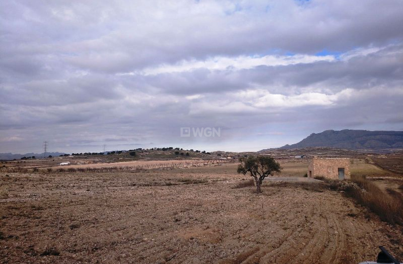 Resale - Land - Torre Del Rico - Inland