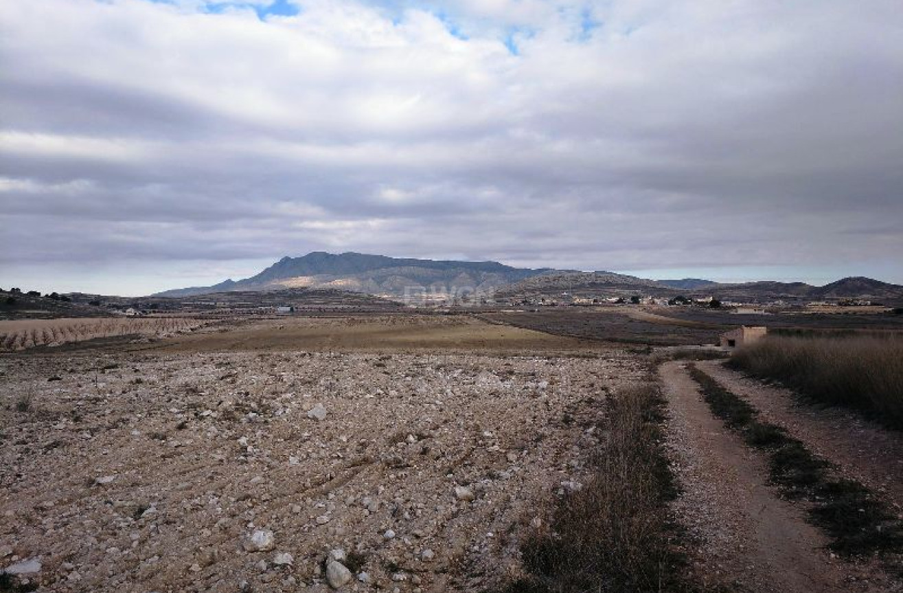 Reventa - Land - Torre Del Rico - Inland