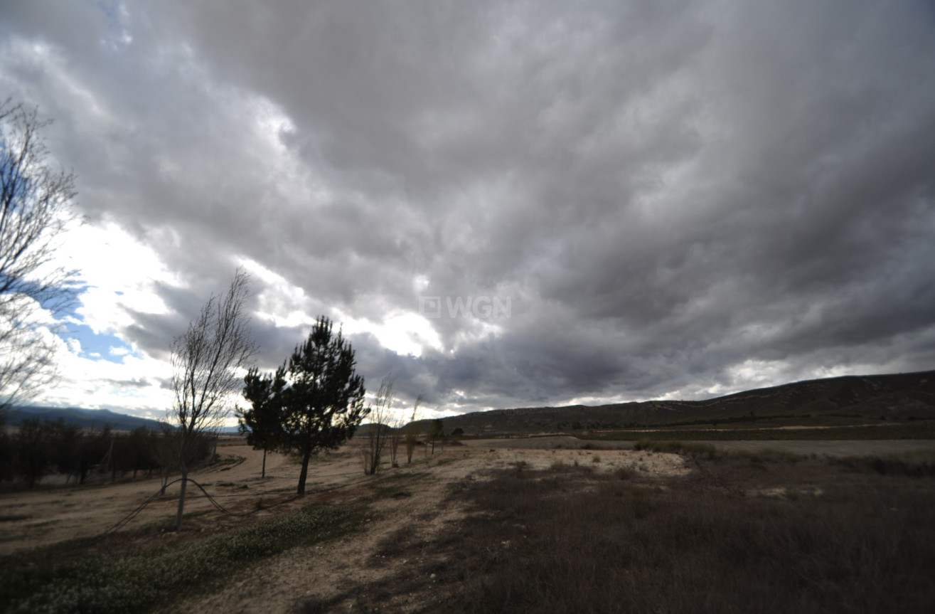 Odsprzedaż - Country House - Jumilla - Inland