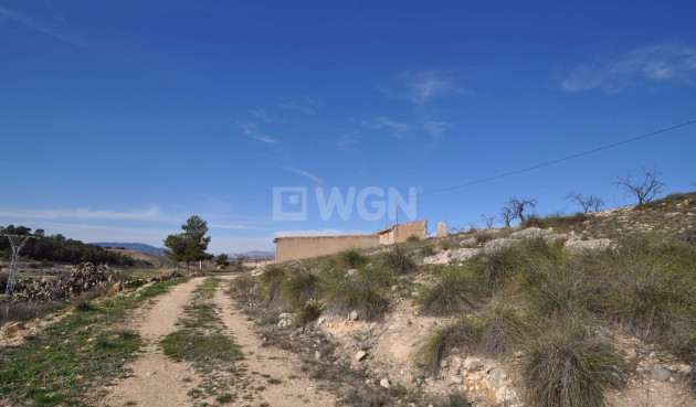 Resale - Country House - La Zarza - Inland