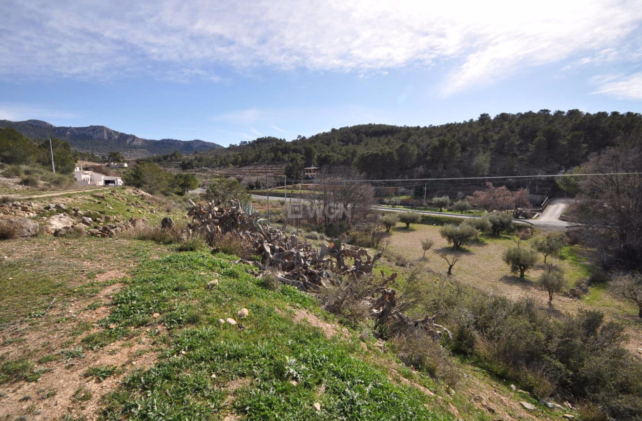 Resale - Country House - La Zarza - Inland