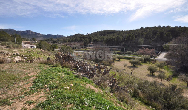 Odsprzedaż - Country House - La Zarza - Inland