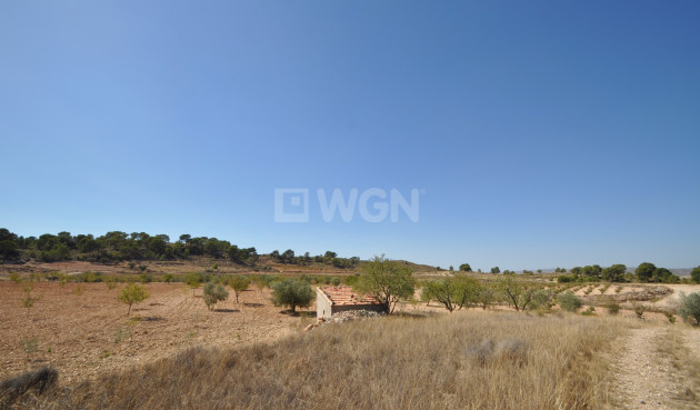 Resale - Land - Torre Del Rico - Inland