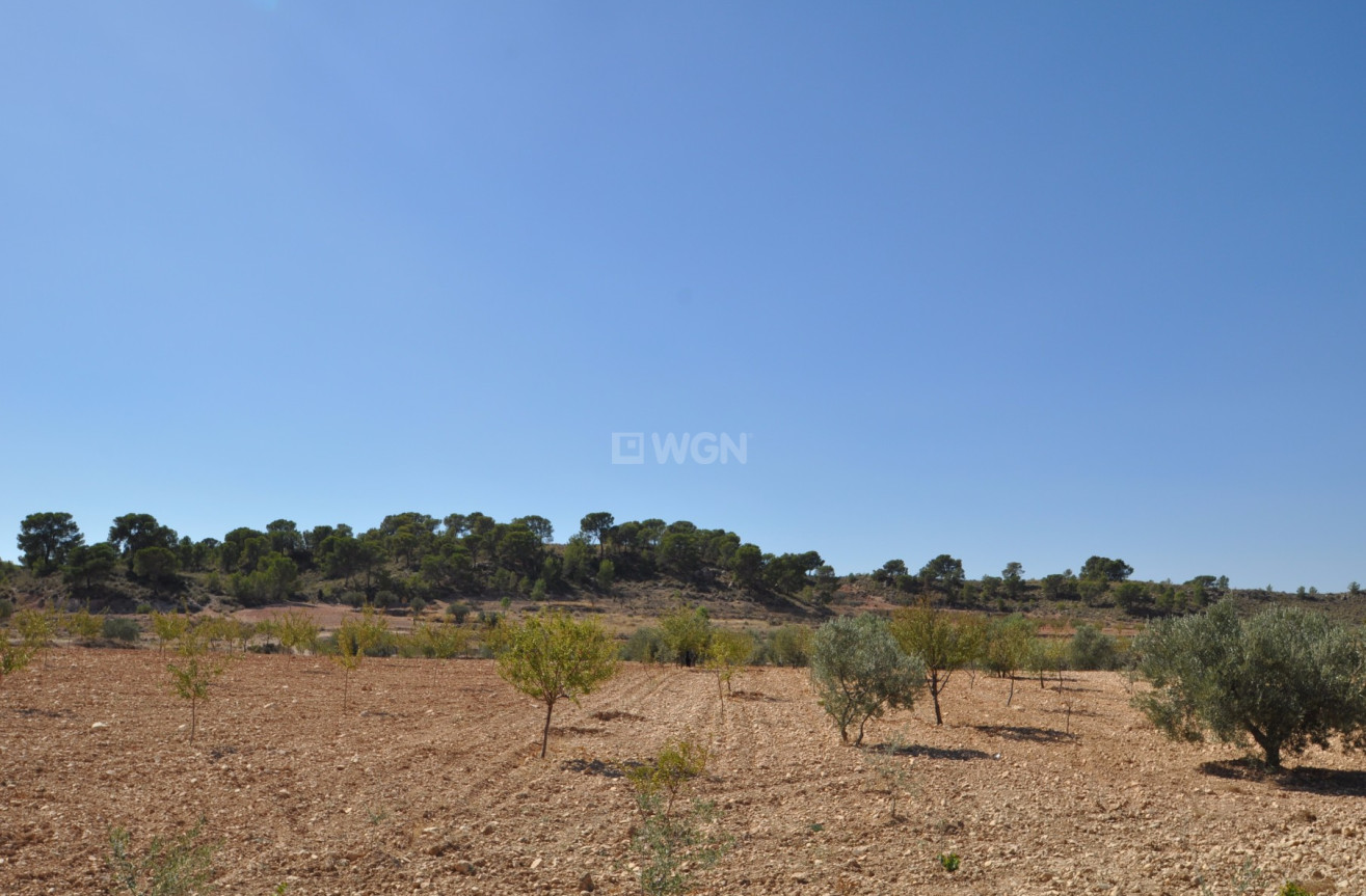 Resale - Land - Torre Del Rico - Inland