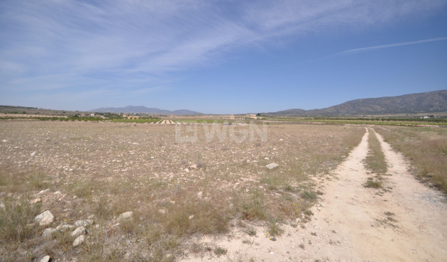 Resale - Land - Pinoso - Inland