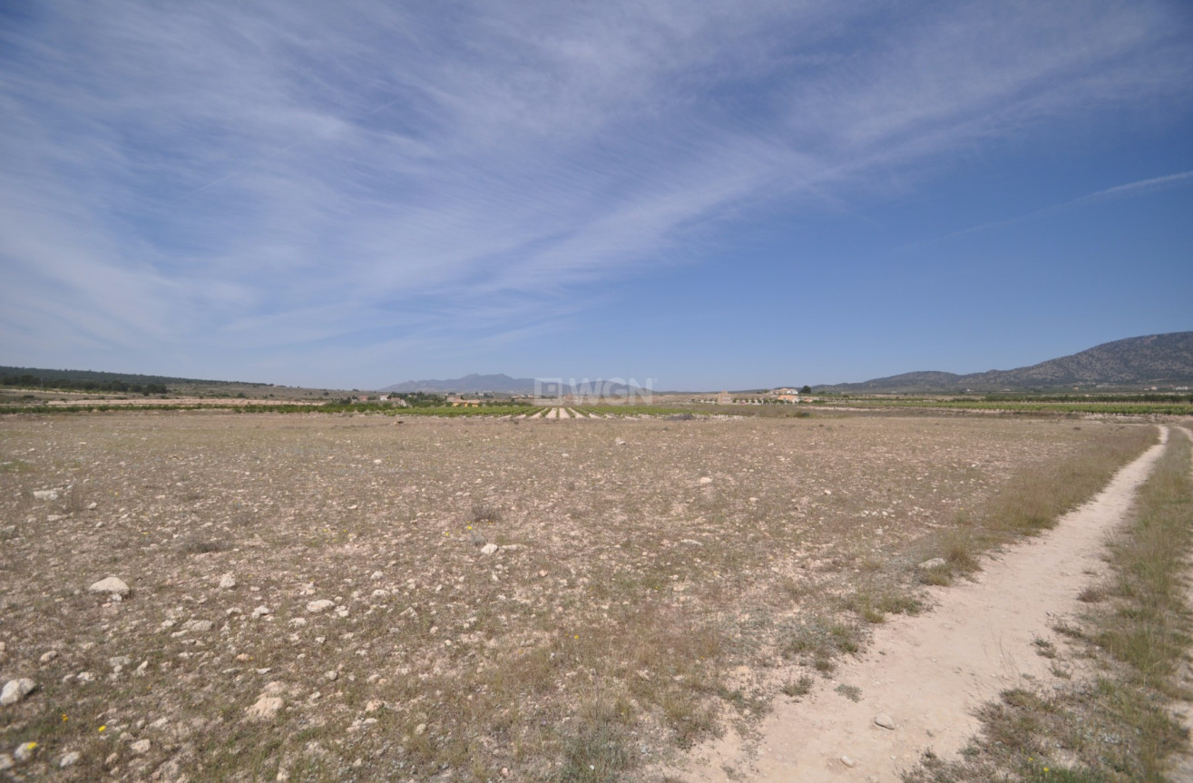 Resale - Land - Pinoso - Inland