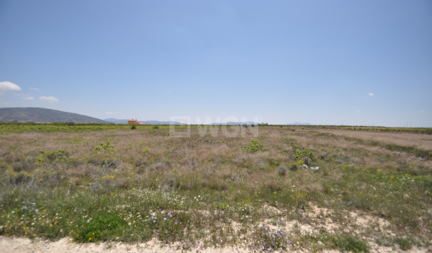 Resale - Land - Pinoso - Inland