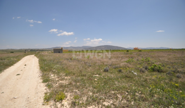 Resale - Land - Pinoso - Inland