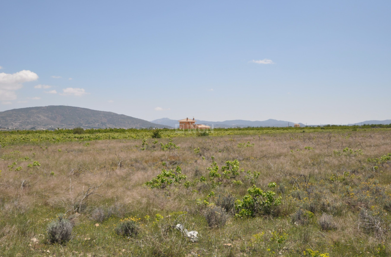 Odsprzedaż - Land - Pinoso - Inland