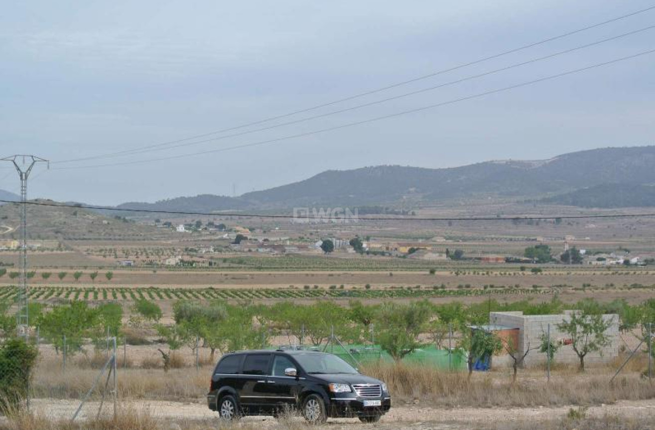 Odsprzedaż - Land - Jumilla - Inland