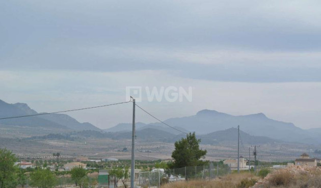 Reventa - Land - Jumilla - Inland