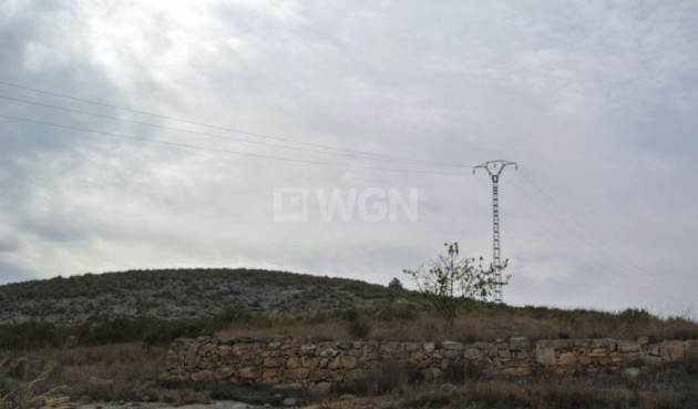 Resale - Land - Jumilla - Inland