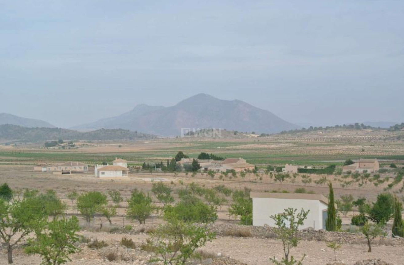 Odsprzedaż - Land - Jumilla - Inland