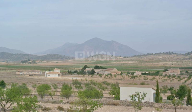 Odsprzedaż - Land - Jumilla - Inland